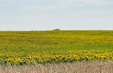 Apartament Jerzyn - Foto 39