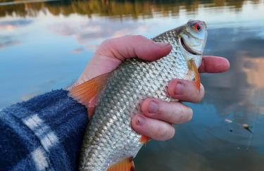 Leśne Domki Wejsuny - Foto 24