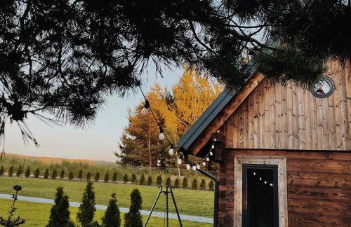 Sosnowe Domki - Photo 42