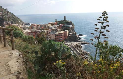 La Calla Rossa - Foto 16