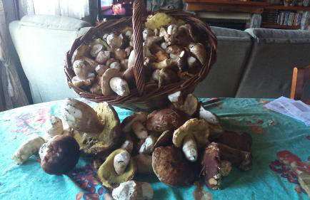 Cal Rosetó - Foto 24