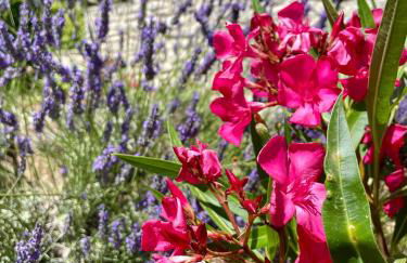 Gîte l’Inattendu - Foto 63