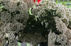 ElleCi Casa Vacanze - Photo 67