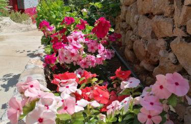 Traditional olive house - Gargalianoi - Foto 54