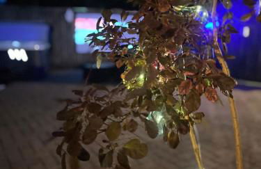 Poppy Cottage, Pembrokeshire - Photo 44