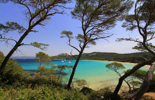 Port Hyeres Duplex plein Sud 200 M2 et 100 M2 de terrasse - Foto 43