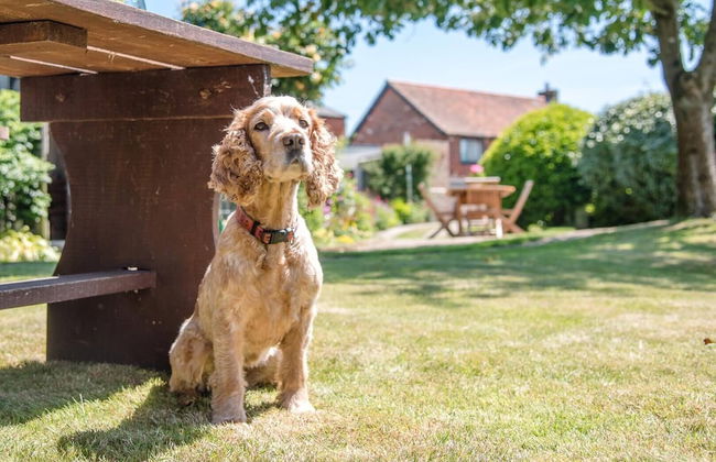 Shallow End, Orford - Photo 26