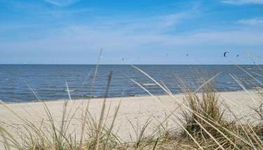 NEU! Ferienwohnung Friesenherz - Foto 2