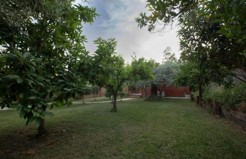 El jardín del Edén - Foto 31