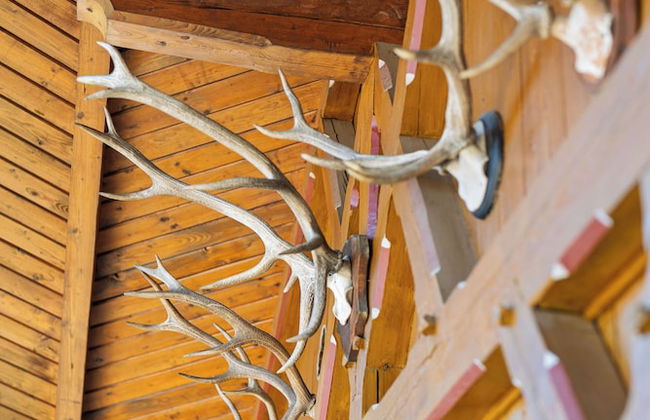 Ferienwohnungen Chiemgau - Foto 32