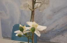 Villa Silver Coast - Foto 60