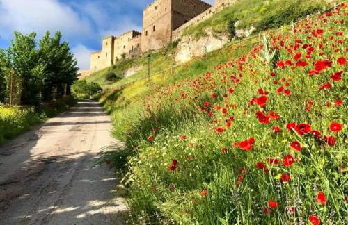 Lunas de Siguenza - Foto 34