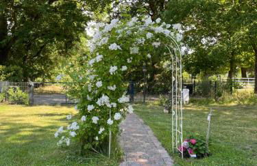Ferienhaus mit Terrasse und Garten in Wandlitz - Photo 2