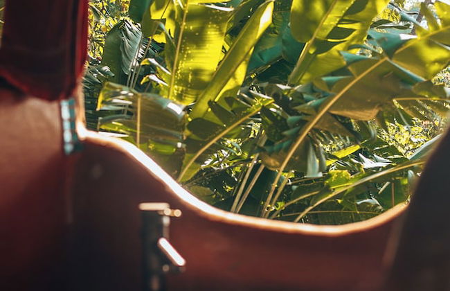 Sol de minca - Photo 41