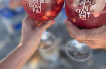 VILA PITHAYA - Casa Jambo Rosa - Foto 41