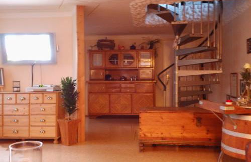 Elbe Ferien - Foto 45