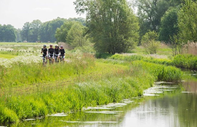 Modern Chalet With Nice Sliding Doors Near Lochem - Foto 17