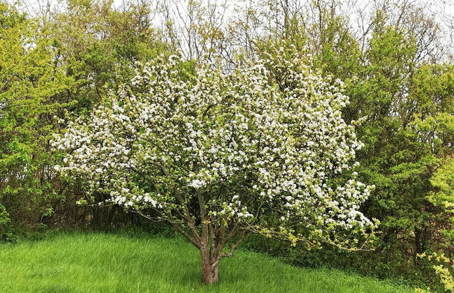 6 Person Holiday Home in Tranekaer - Foto 11