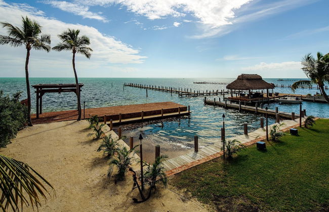 The Caribbean Resort Fish Tail Palm - Foto 11