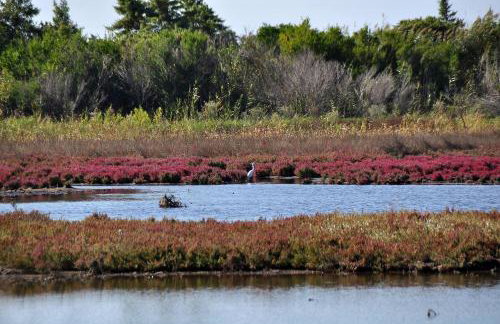 Sia's Holiday Home - Foto 19