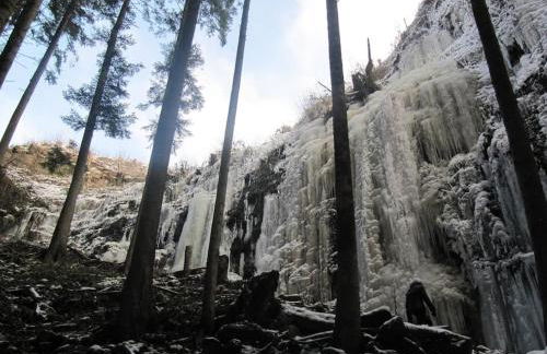 Ferienwohnung Schwarzwaldblick - Photo 24