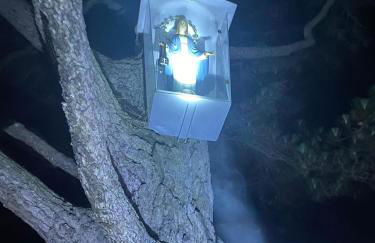 Breath of the Dove - Foto 31