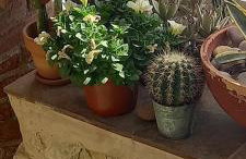 Casacamer S - Foto 30