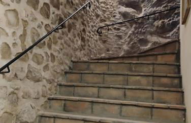 Il Gallo d' Oro - Pulcino - Foto 11