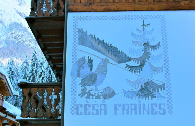 Cesa Fraines - Foto 15