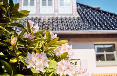 Watthüs Morsum mit Kamin und traumhaftem Garten - Foto 22