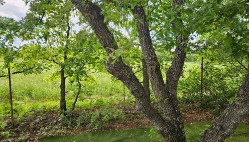 Au cœur de la provence - Foto 4, Garden view