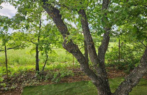 Au cœur de la provence - Foto 4