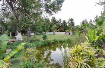 Villa Lago 2 - Photo 14