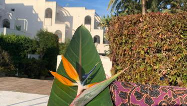 El Jardín de Sotogrande - Foto 3, Garden view