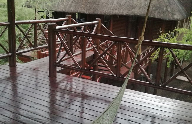 Lion Tree Bush Lodge - Foto 16