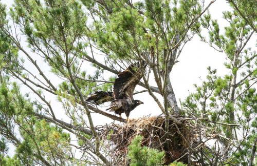 Private Island Escape Less Than 6 Mi to Sand Valley Golf - Foto 32