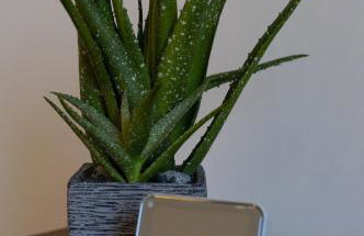 Immaculate one bedroom flat in the city centre - Foto 69