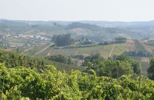 Villa in Casais de Santa Helena - Photo 36