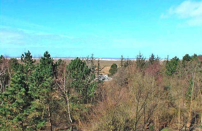 Ferienwohnung, St. Peter-ording - Photo 15