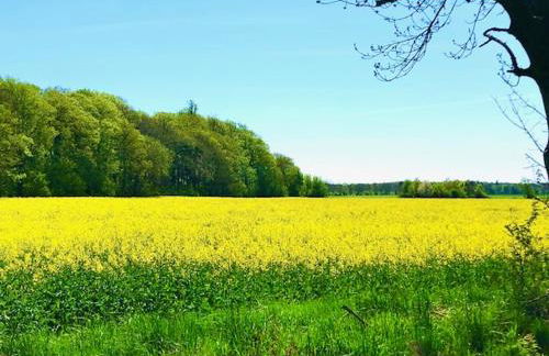Ferienhaus Neumann - Ein ganzes Haus für Ihren Urlaub! - Foto 19