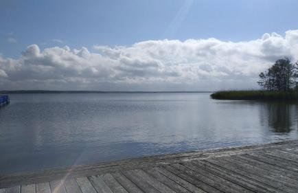 Villa Aurea - Foto 52