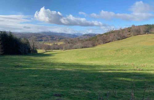 Bright, contemporary house & large private garden - Foto 35