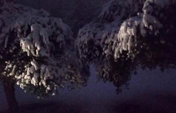 CASA DEL CANTA - Foto 30