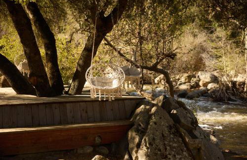 Paradise Ranch Inn- Limitless House Hot Tub,Sauna - Foto 41