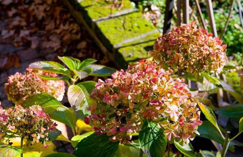 Palazzo Contino - Foto 59