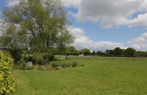 The Barn - Photo 28