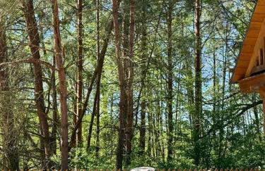 Strużka Kaszuby - Leśniczówka w sercu Borów Tucholskich - Foto 21