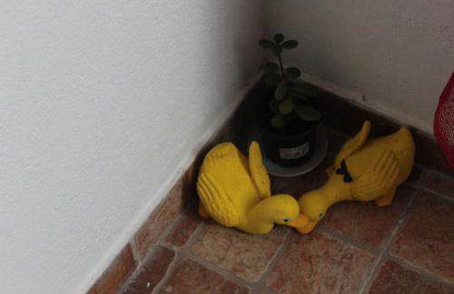 Casa Avô T1 - Foto 10