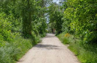 Wohnen am Südstrand - Ferienwohnung 1 4 - Foto 10
