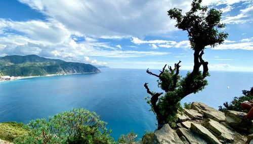 Attico con terrazza fronte mare a Cavi di Lavagna - Foto 5